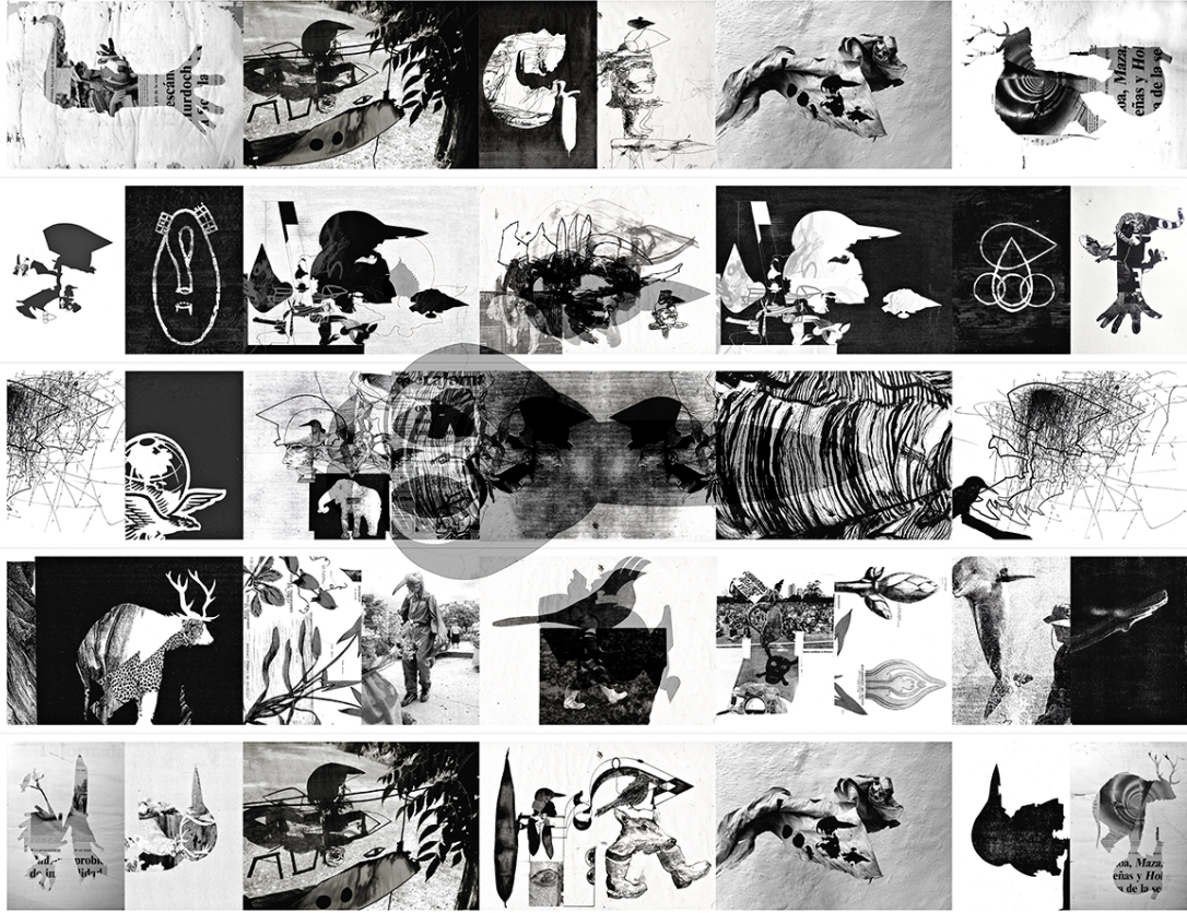 Exposition Image